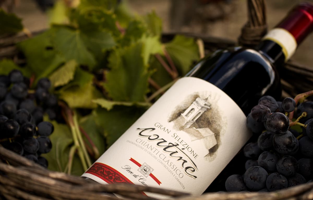 A bottle of Cortine among the grapes