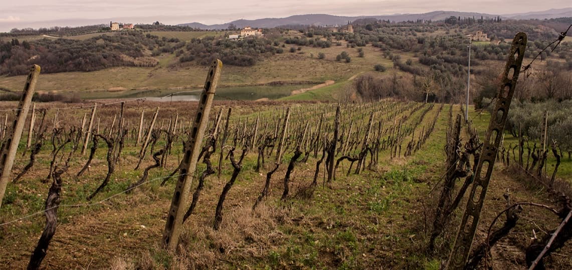 The hills and vineyards of Cortine